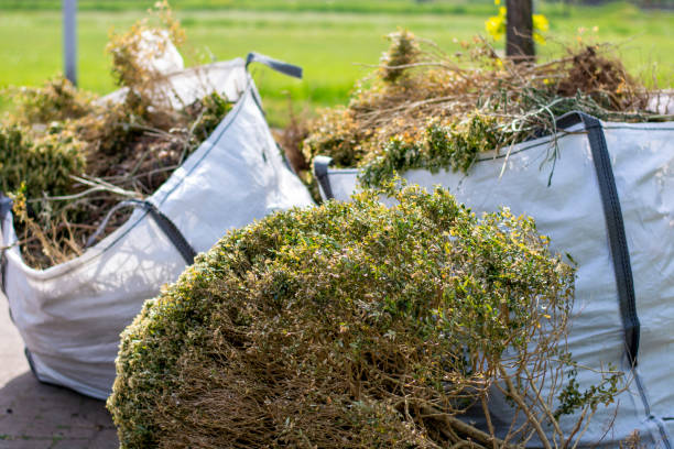 Basement Cleanout Services in Shelbyville, IL
