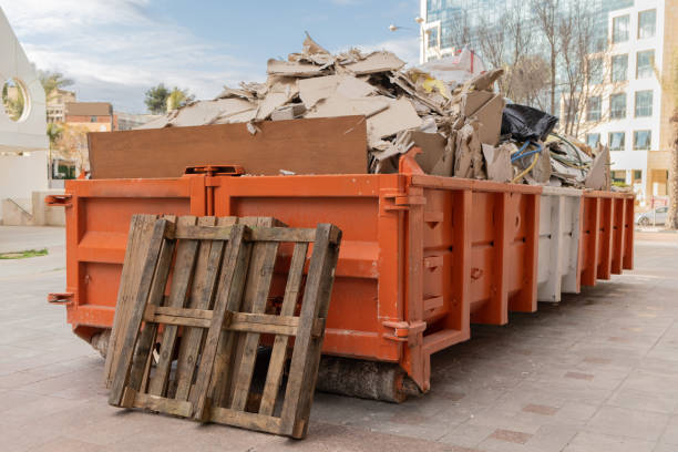 Best Junk Hauling Services  in Shelbyvle, IL