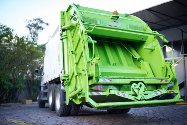 Best Junk Hauling Services  in Shelbyvle, IL